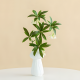 Porcelain Vase Small